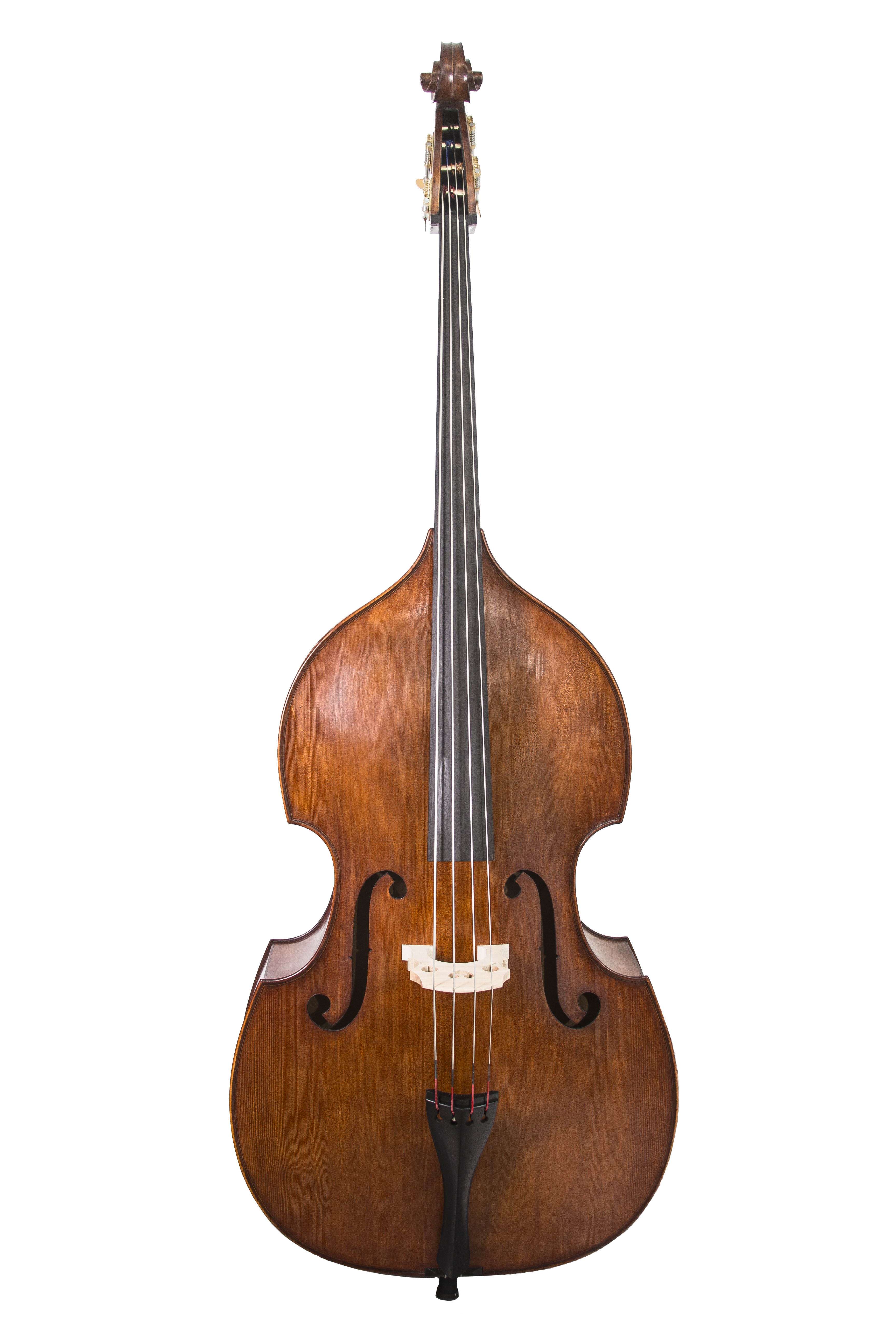 Contrabajo Aileen GDB220-F