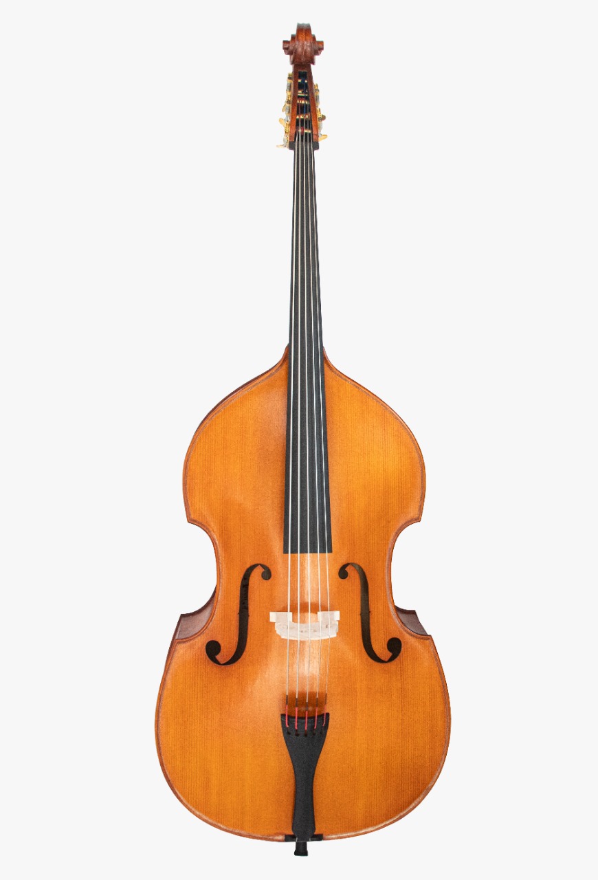 Contrabajo Aileen GDB220F-5S 5 Cuerdas