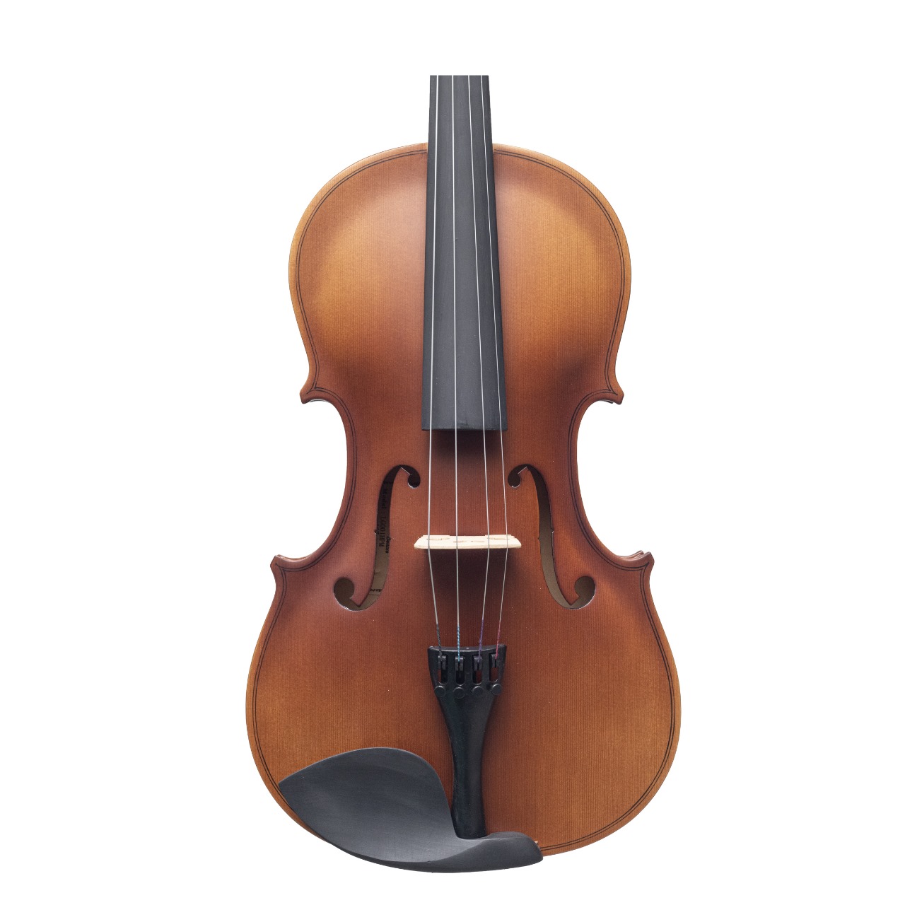Viola Aileen LG001-HPM