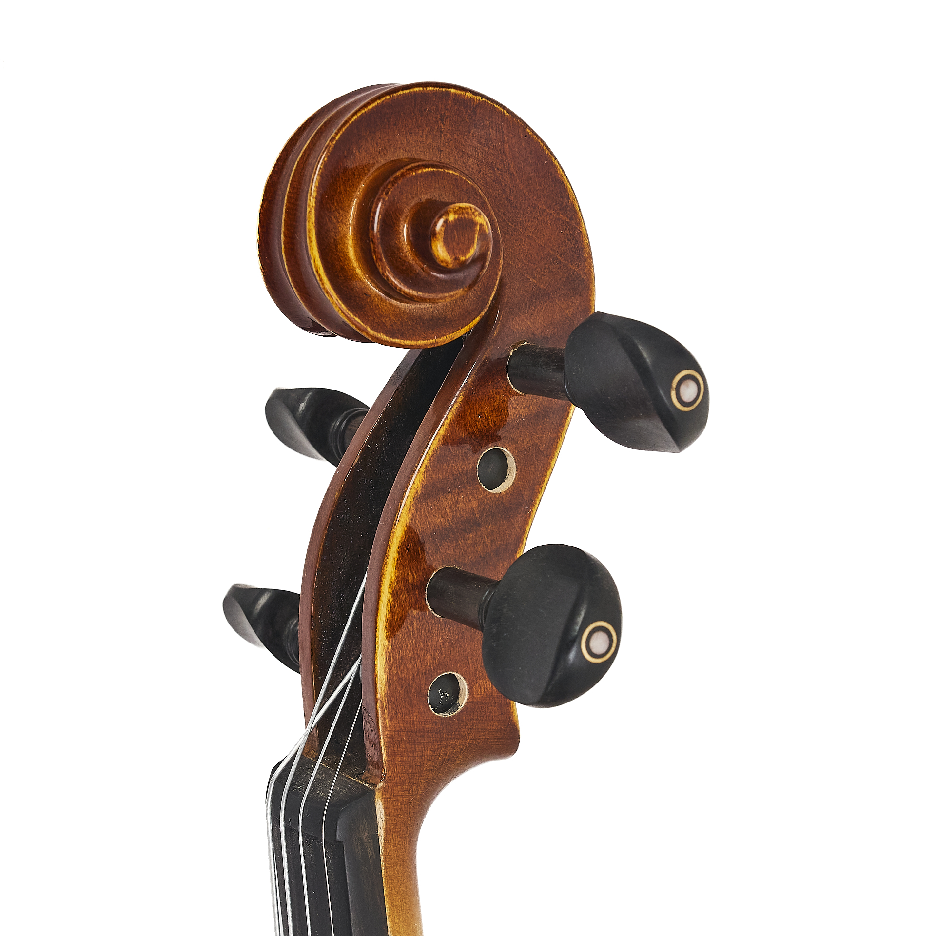 Violin Bellini V-crescendo